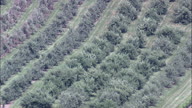 Arbor Lodge State Historical Park Orchards