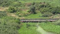 Spring Creek Prairie Centre