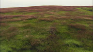 Flight Over Grassland In Spring Creek Prairie Centre