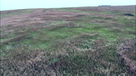 Flight Rising Over Wind Blown Grass In Spring Creek Prairie Centre