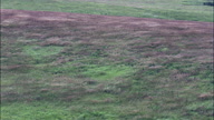 Spring Creek Prairie Centre
