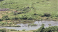 HD01129A_075, Nebraska, United States
