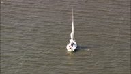 Sail Boat On Branched Oak Lake