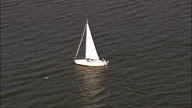 Sail Boat On Branched Oak Lake