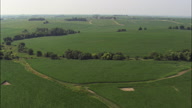 Farming Landscape