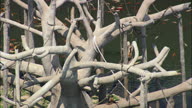 Henry Doorly Zoo