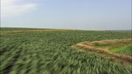 Farmland And Farms