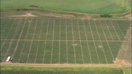 Haskell Agricultural Laboratory
