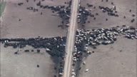 Stock Yard