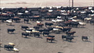 Stock Yard