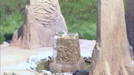 Ponca State Park Visitors Centre