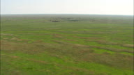 Flight Over Sandhill Landscape
