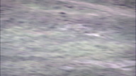 HD01140A_052, Nebraska, United States