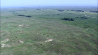 Flight Panning Round Grassland