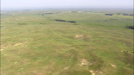 Flight Panning Round Grassland