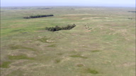 Flight Across Grassland