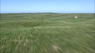 Flight Low Over Grassland