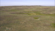 Flight Low Over Grassland