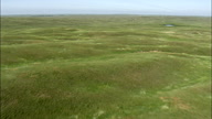 Flight Fast And Low Over Grassland