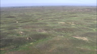 Flight Fast And Low Over Grassland