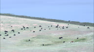 HD01141A_040, Nebraska, United States