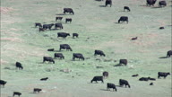 HD01141A_041, Nebraska, United States