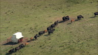 HD01141A_043, Nebraska, United States