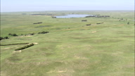 Flight Towards Swan Lake