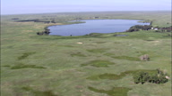 Flight Towards Swan Lake