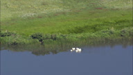 HD01141A_048, Nebraska, United States