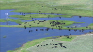 HD01141A_051, Nebraska, United States