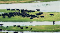 HD01141A_052, Nebraska, United States