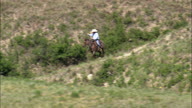 Rounding Up A Lone Cow And Calf
