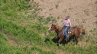 Rounding Up A Lone Cow And Calf