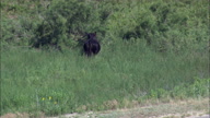 HD01142A_008, Nebraska, United States