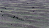 Ridge Patterns In Sandhills Area