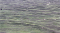 HD01142A_046, Nebraska, United States