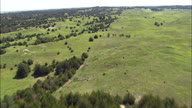 Flight Over Nebraska National Forest