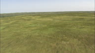 Flight Very Fast And Low Over Grassland And Sandhills