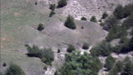 Bald Eagle In Flight
