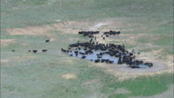 HD01143A_124, Nebraska, United States