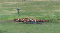 HD01145A_001, Nebraska, United States