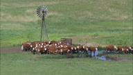 HD01145A_003, Nebraska, United States