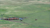 HD01145A_009, Nebraska, United States