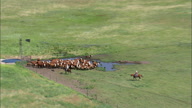 HD01145A_010, Nebraska, United States