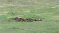 HD01145A_011, Nebraska, United States