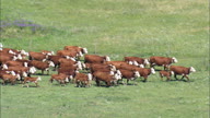HD01145A_012, Nebraska, United States