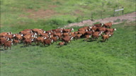 HD01145A_016, Nebraska, United States
