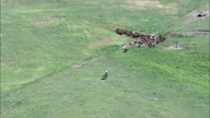 HD01145A_017, Nebraska, United States