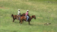 Driving Cattle Across The Grassland